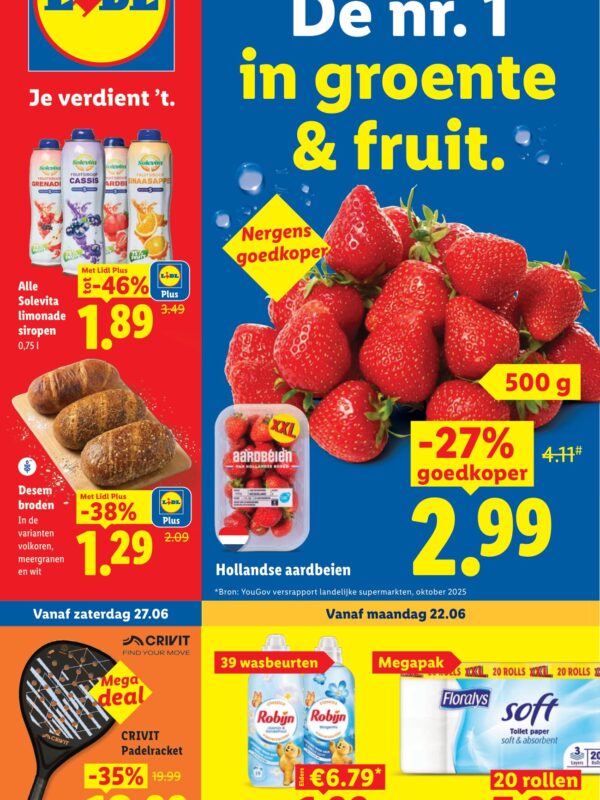 Lidl Folder