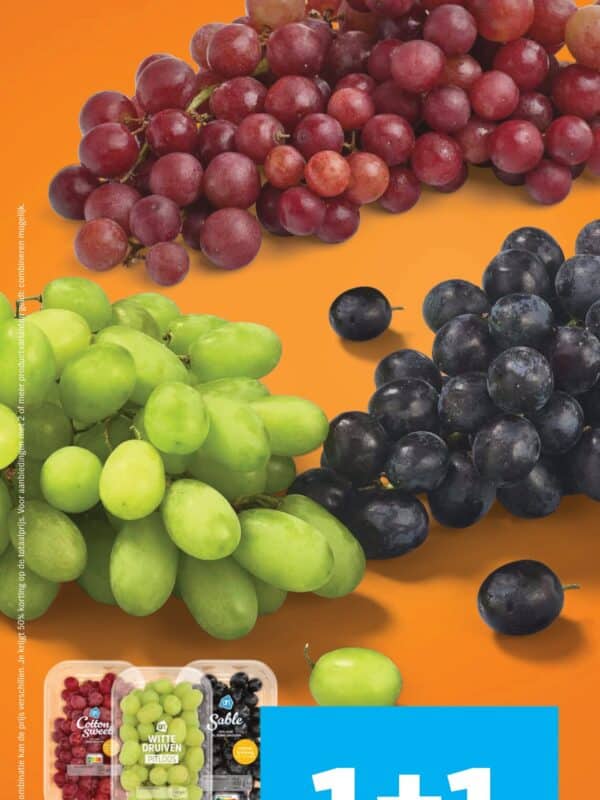 Albert Heijn Folder