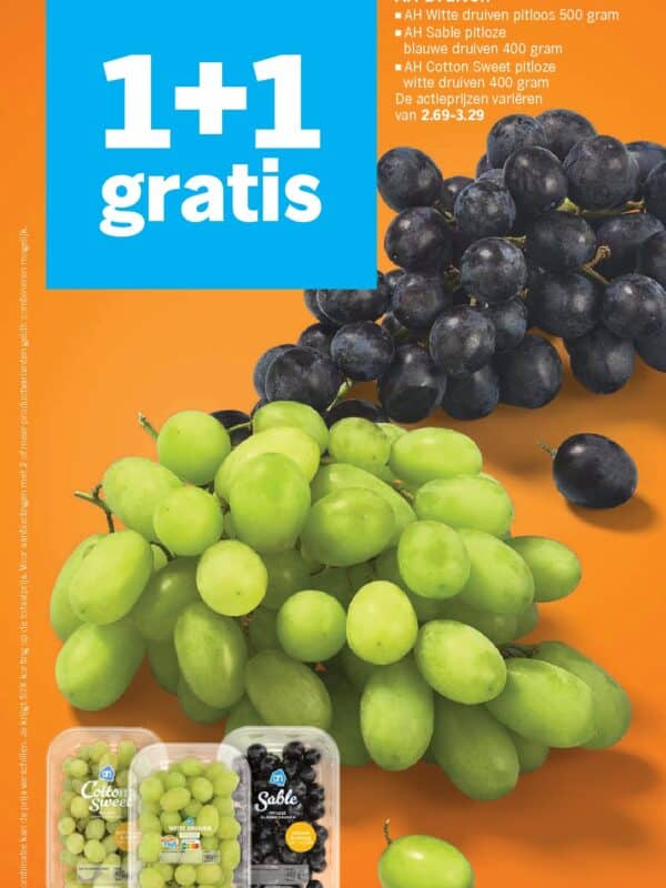 Albert Heijn Folder