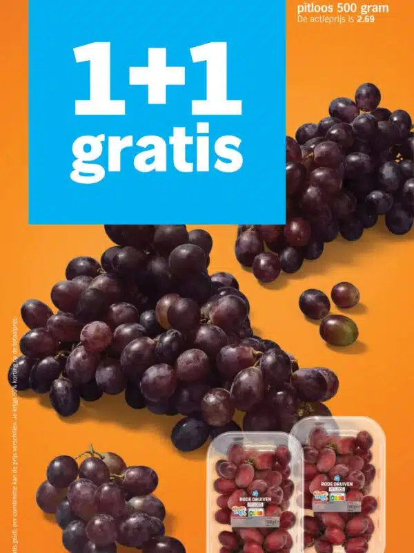 Albert Heijn Folder